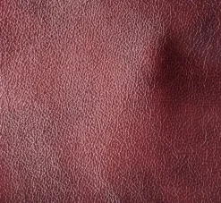CHESTERFIELD QUEEN LEPOTUOLI