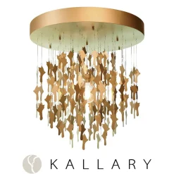 KALLARY KATSEENVANGITSIJA KATTOVALAISIN