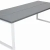 KOIVU 220X90 CM LANKKUPÖYTÄ METALLIJALOILLA