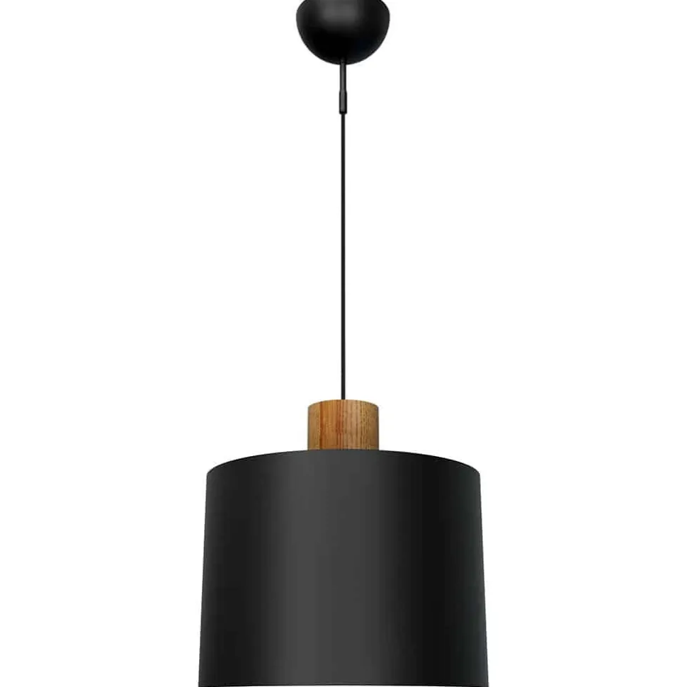 LOG-20/30 KATTOVALAISIN